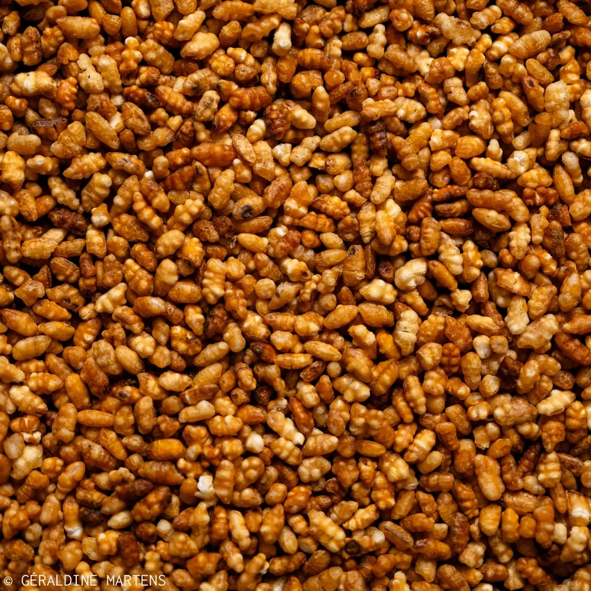 Riz brun soufflé torréfié - Image 3