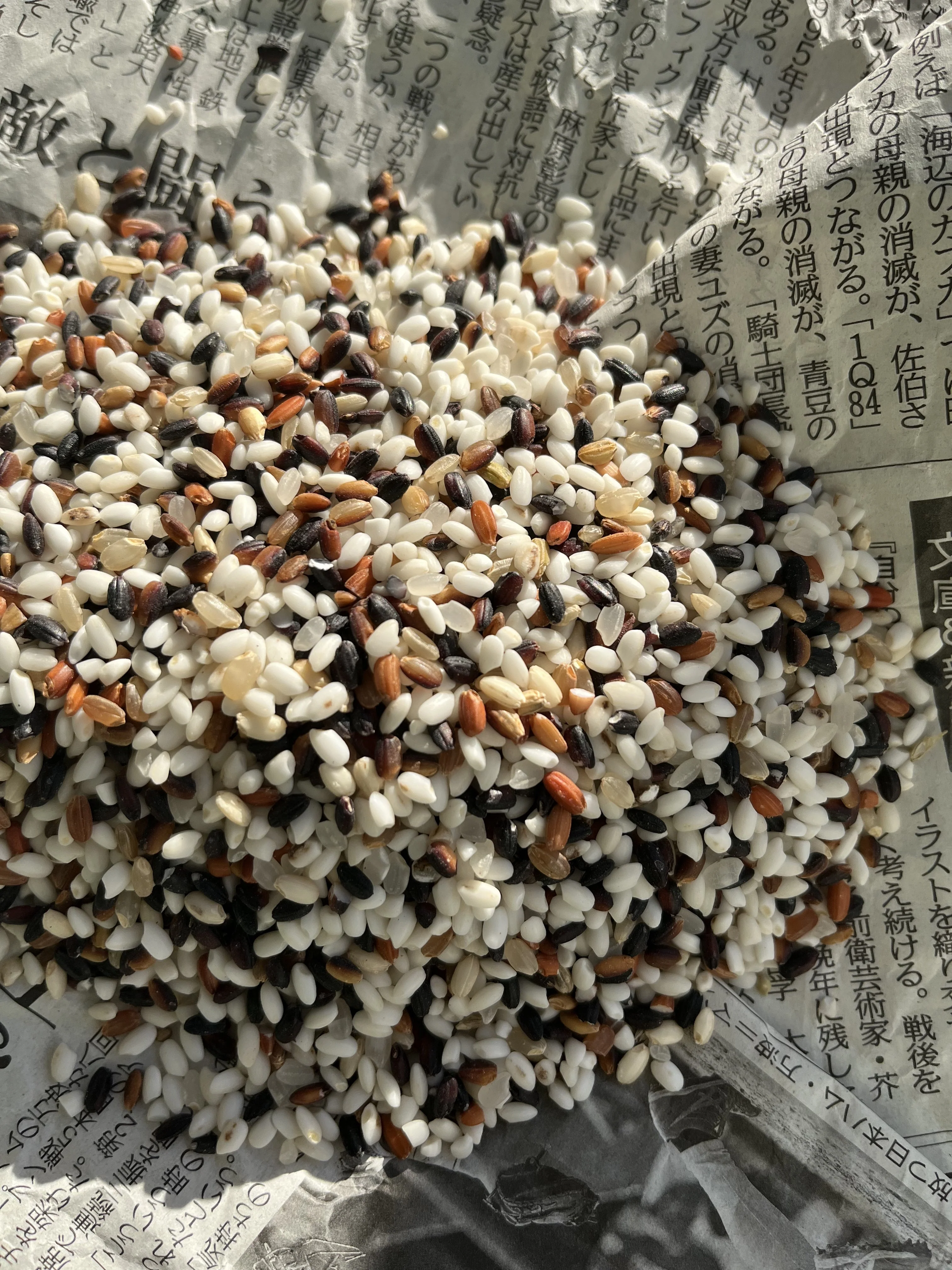 Riz ancien japonais de trois couleurs 150g - Image 2